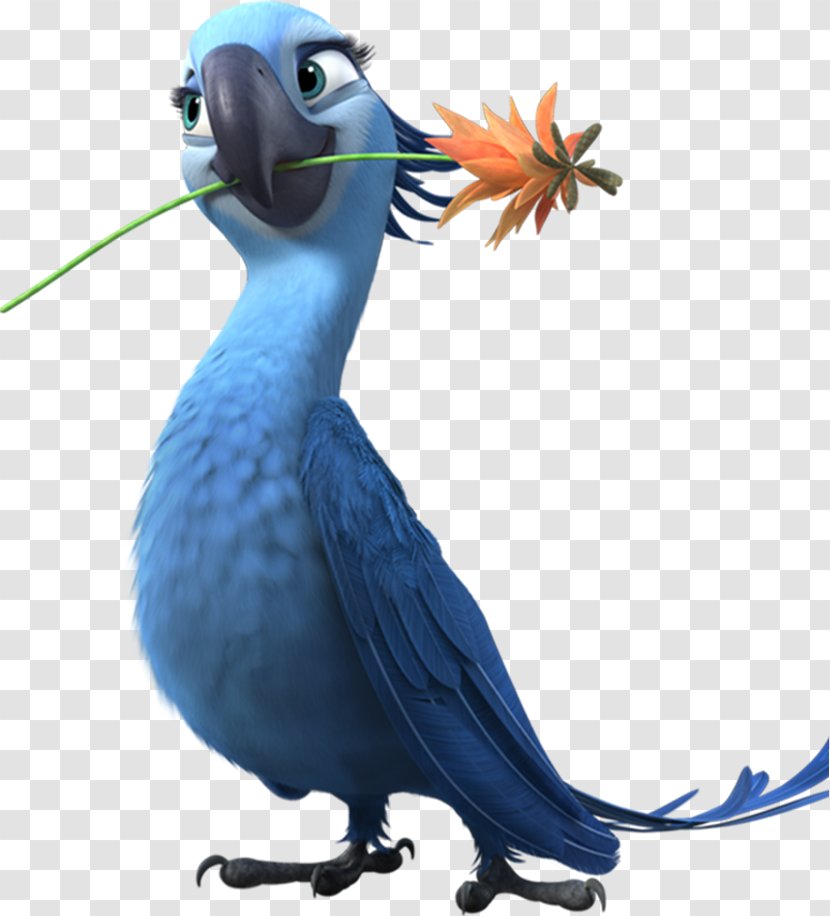 Jewel Blu Nigel Linda Rio - Female - Angry Birds Transparent PNG