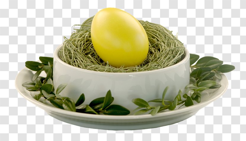 Easter Egg Bird Christmas - Nest Transparent PNG