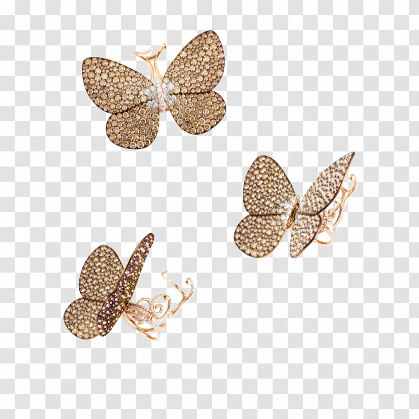 Earring Jewellery Butterfly Clothing Accessories - Fashion Accessory - Exquisite Picture Frames Transparent PNG
