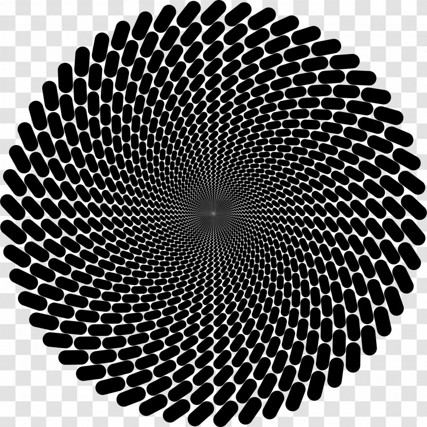 Fraser Spiral Illusion Circle Rotation Concentric Objects - Black And White Transparent PNG