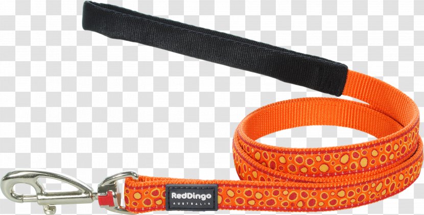 Leash Dog Dingo Trendyol Group Orange - Pink Transparent PNG