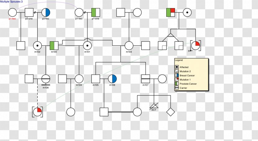 Wiring Diagram Pedigree Chart Drawing - Wire - Software Transparent PNG