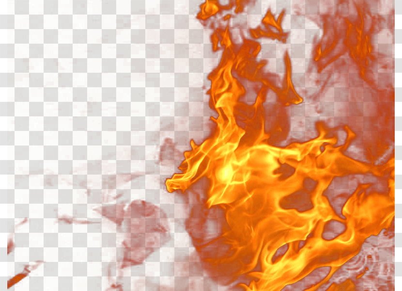 Fire Clip Art - Flower - Image Transparent PNG