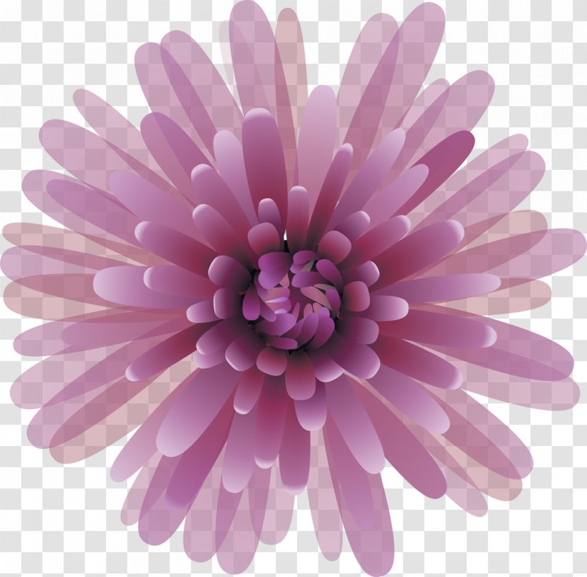 Chrysanthemum Clip Art Image Lilac - Drawing Transparent PNG