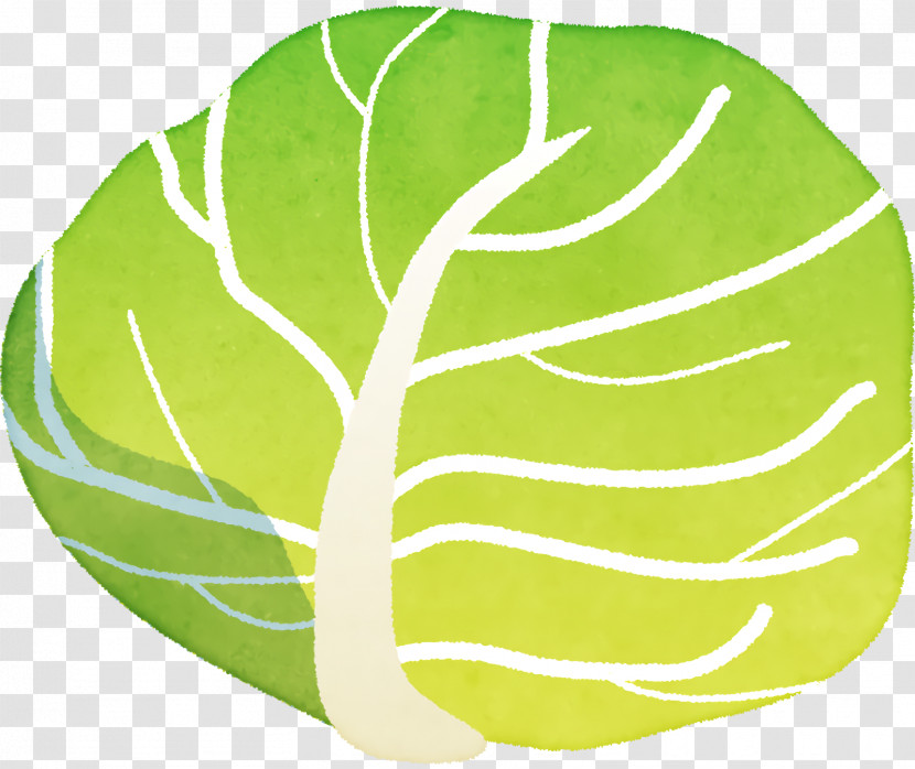 Leaf Vegetable Green Fruit Science Transparent PNG