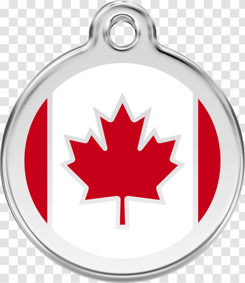 Red Dingo Dog ID Tag Pet Canada - Dogs Qr Code Transparent PNG