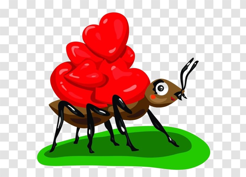 Ant Photography Euclidean Vector Illustration - Frame - Cartoon Ants On The Back Of Love Transparent PNG