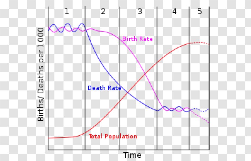 The Population Bomb Demographic Transition Human Geography World - Geographer Transparent PNG