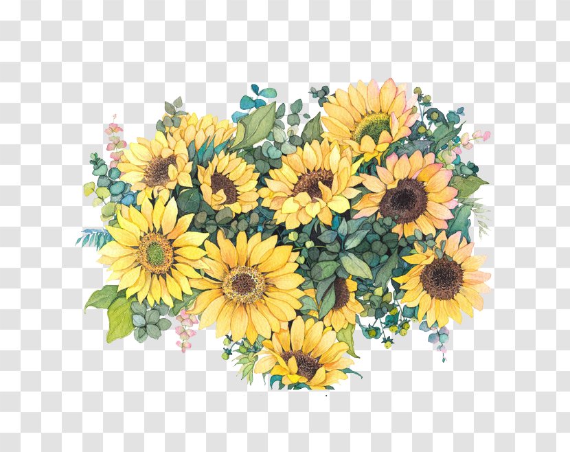 Common Sunflower Watercolor Painting Illustration - Drawing - Flowers Transparent PNG