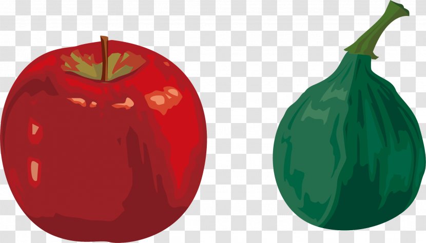 Apple Fruit Euclidean Vector - Element - Effect Transparent PNG