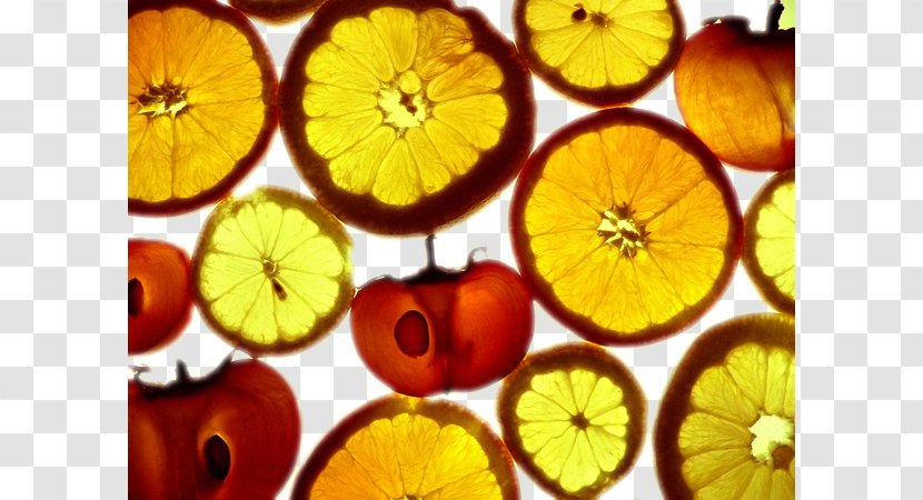 Lemon Grapefruit Vegetarian Cuisine - Food - Slices To Pull Material Free Transparent PNG