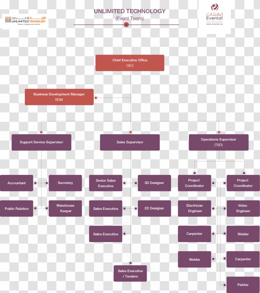 Organizational Chart Diagram System - Purple Transparent PNG