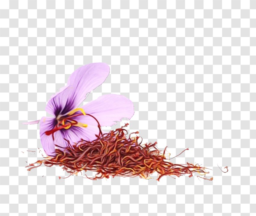 Iranian Cuisine Saffron Spice Food - Plant Transparent PNG