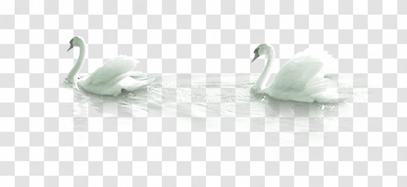 Mute Swan Bird Duck - Tap - Two Swans Transparent PNG