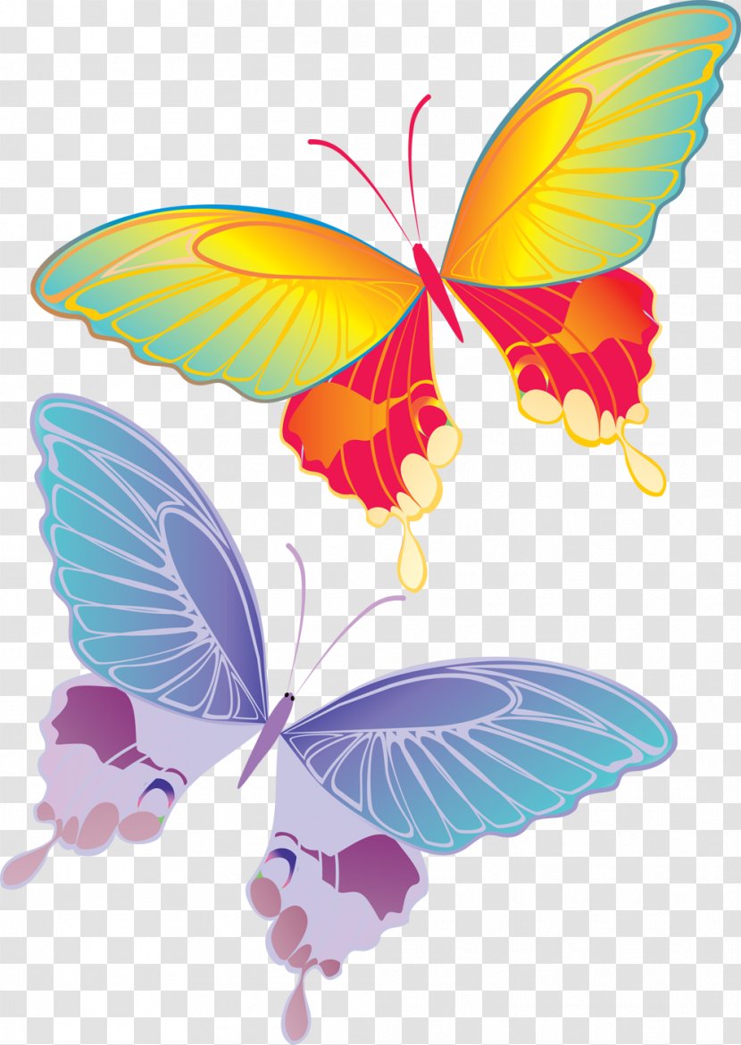 Drawing Child Art Photography - Petal - Papillon Transparent PNG