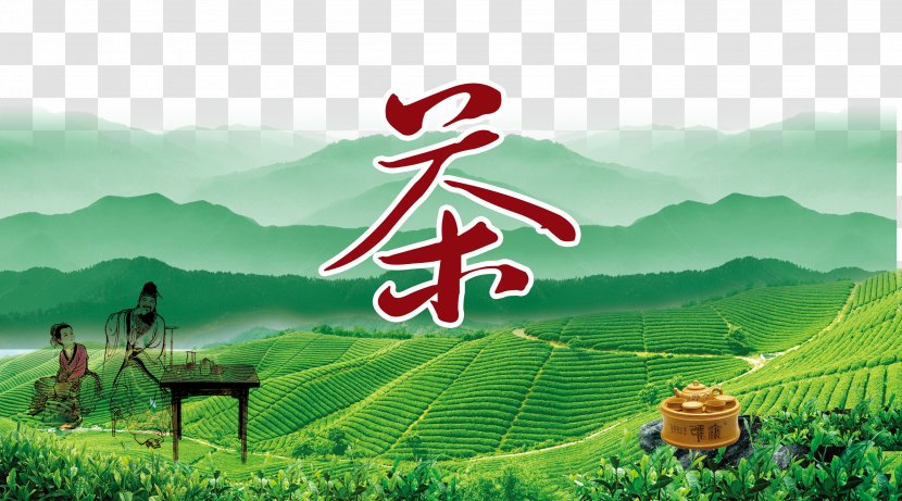 Green Tea Poster - Chinese Wind Creative Posters Transparent PNG