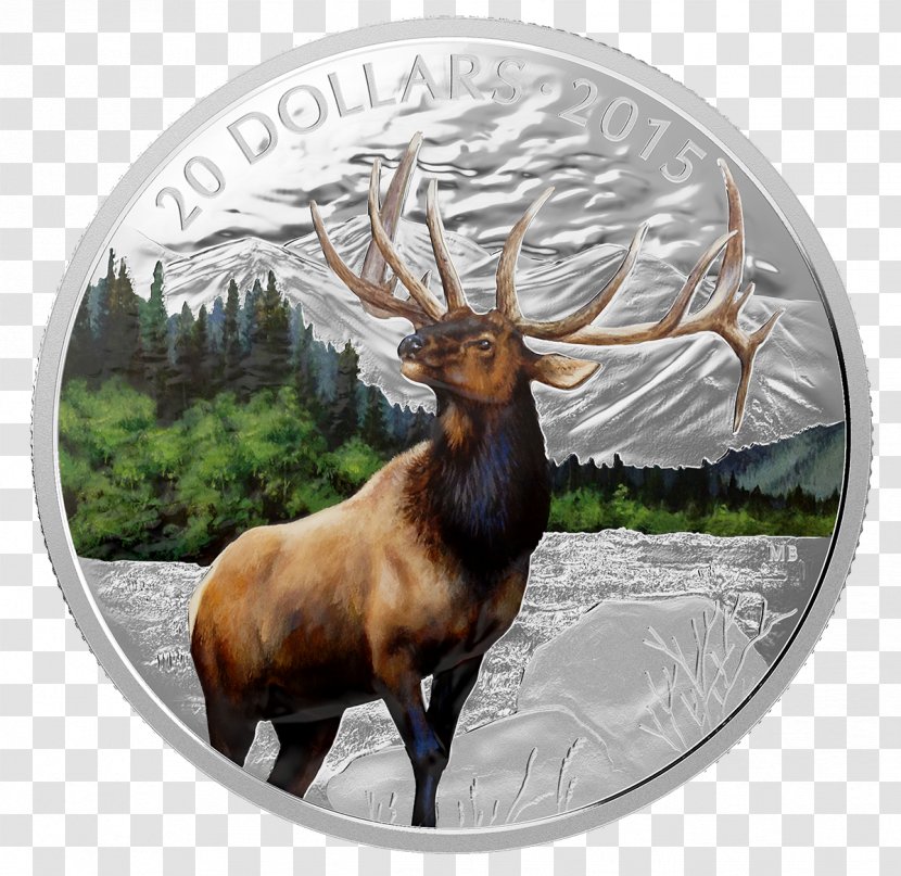 Majestic Elk Deer Silver Coin - Canada Transparent PNG