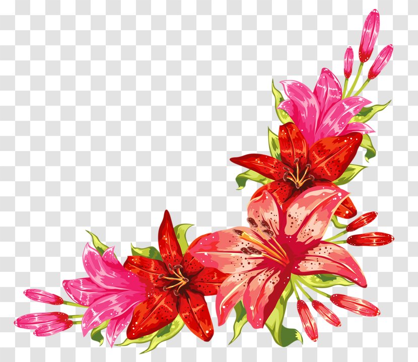 International Women's Day Woman 8 March Wish Happiness - Petal Transparent PNG