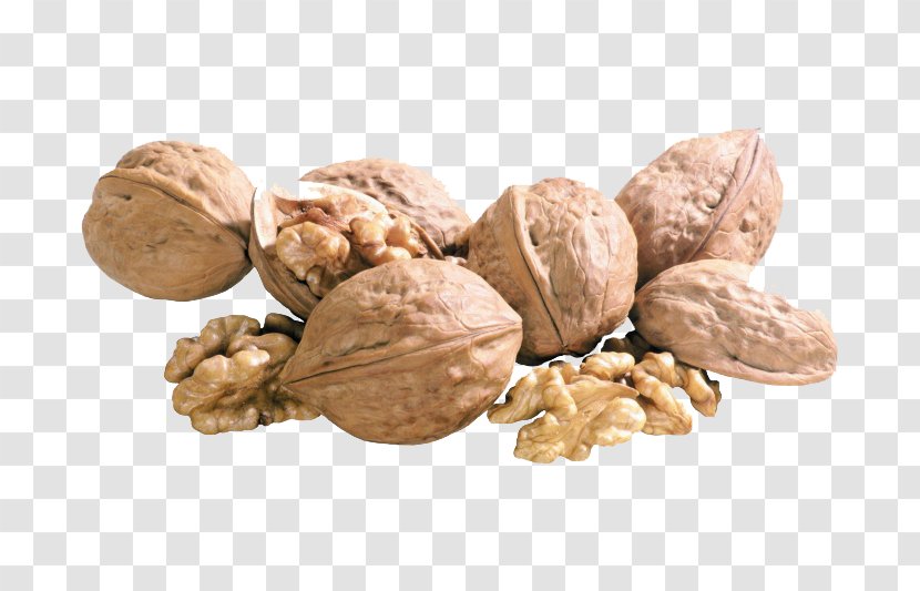 English Walnut Dried Fruit - Commodity - Photos Transparent PNG