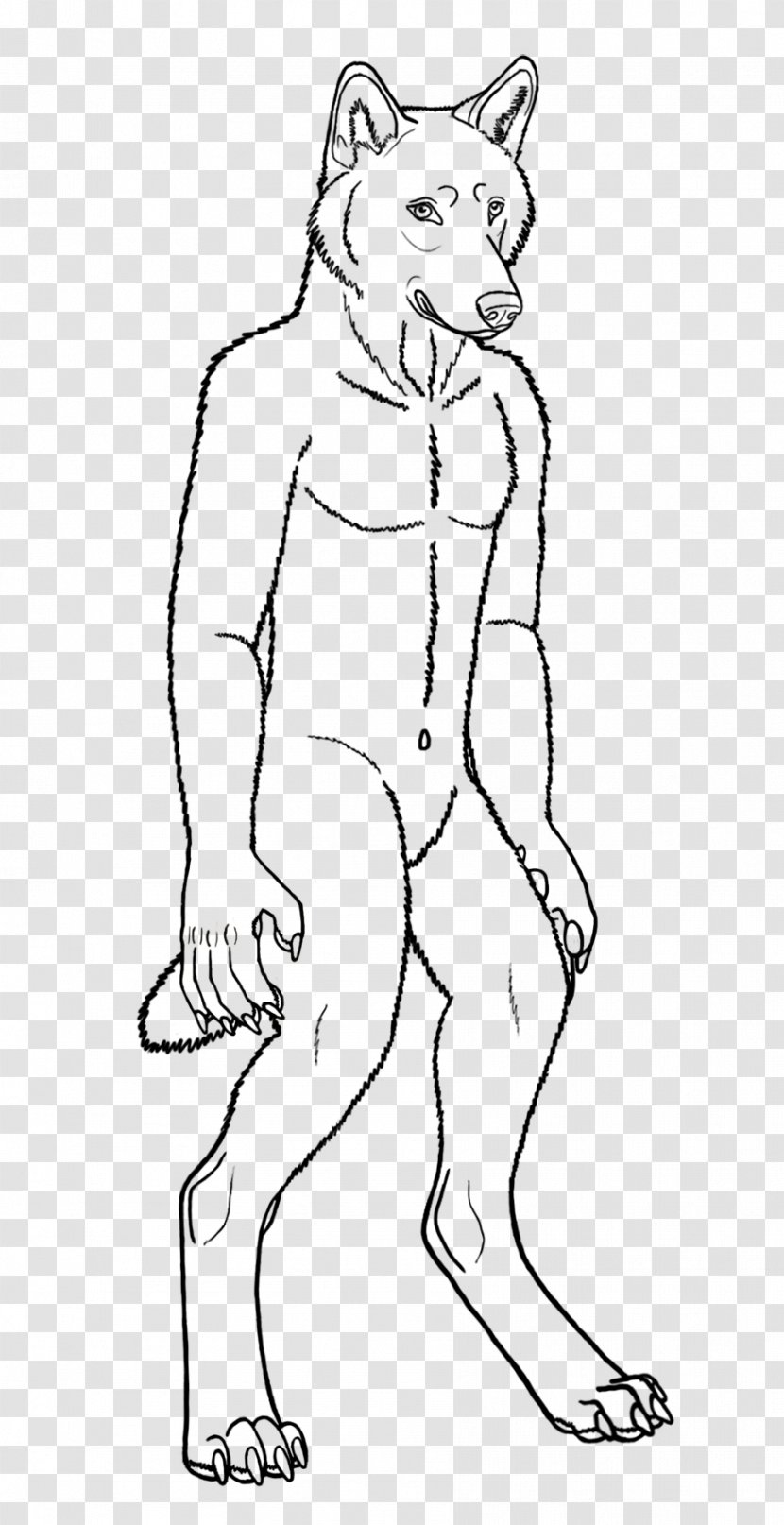 Line Art Gray Wolf Drawing Werewolf Cartoon - Head Transparent PNG