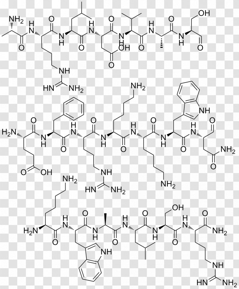 Adrenomedullin /m/02csf Peptide Car Point - M02csf Transparent PNG
