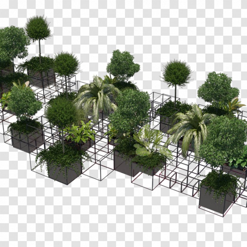 Tree Flowerpot Houseplant Shrub - Plant Transparent PNG