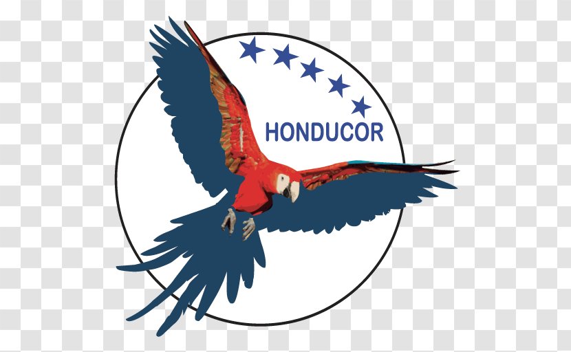 Android Application Package Honducor Mobile App Honduras - Bird Transparent PNG