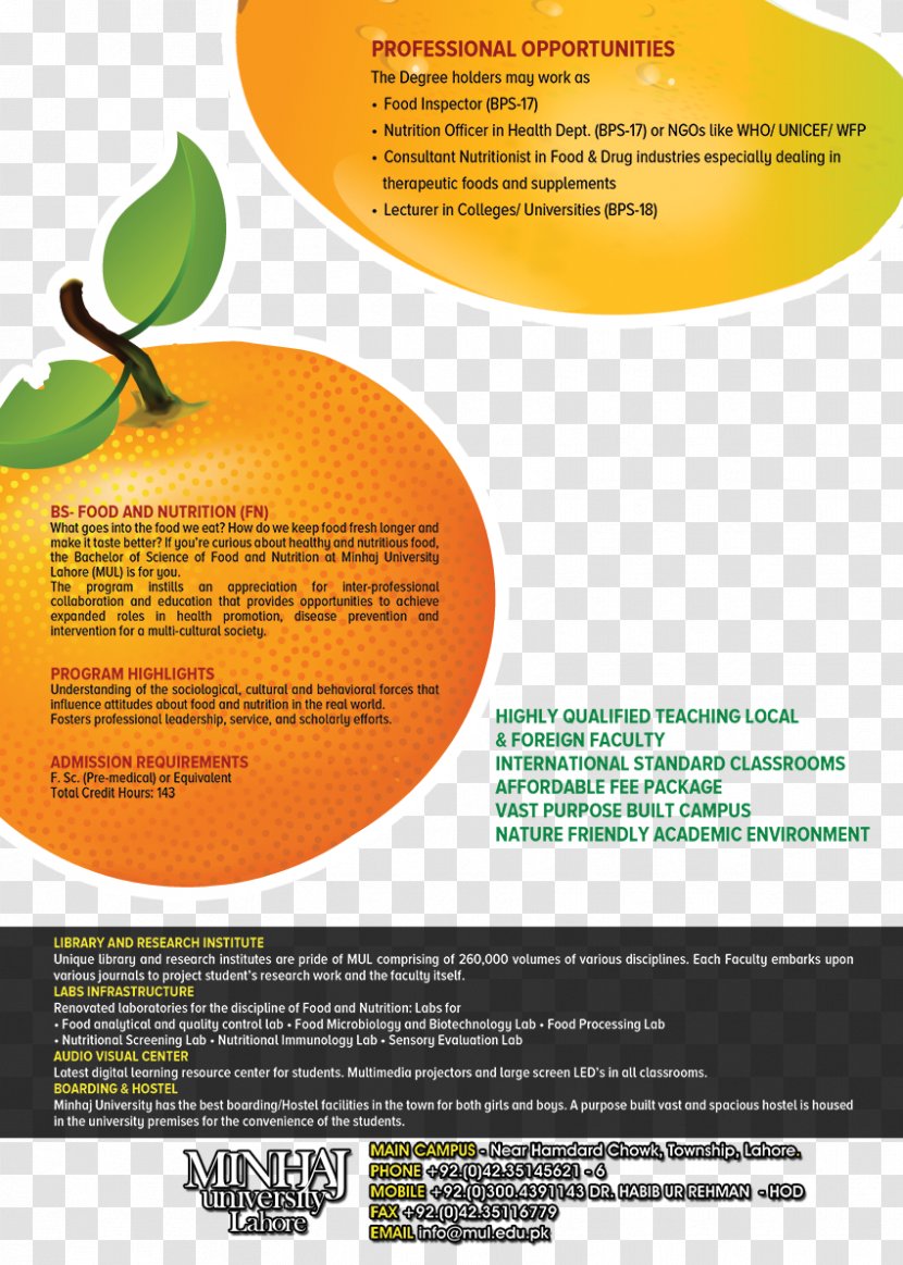 Advertising Brand Brochure Font - Nutrition Transparent PNG