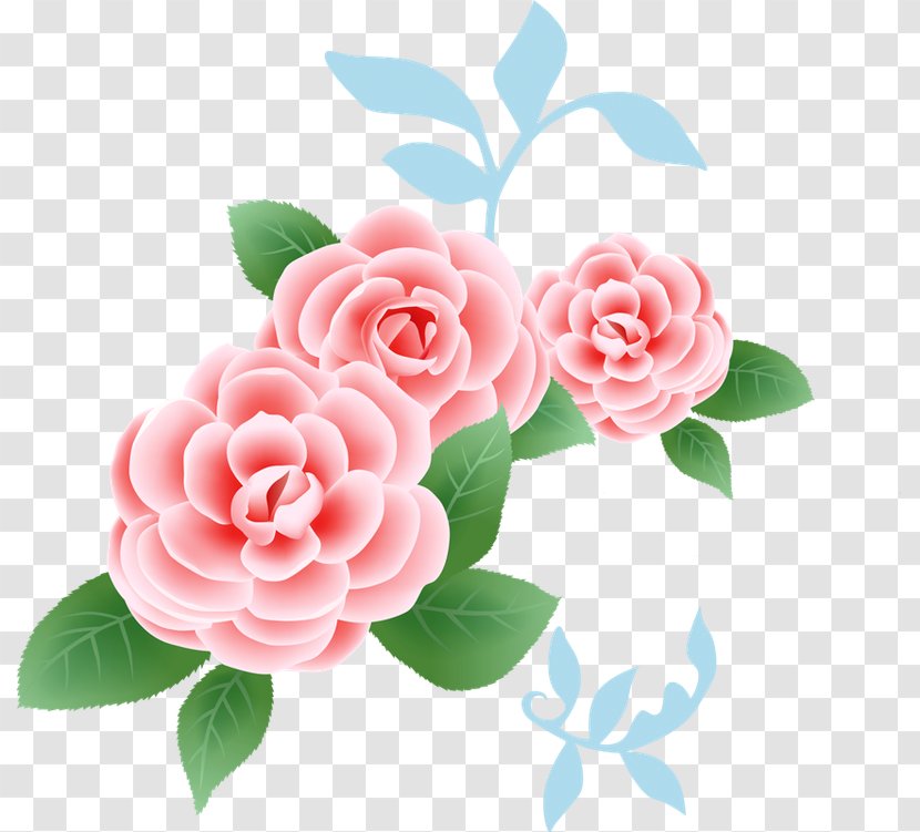 Peony Rose Clip Art - Flower Arranging Transparent PNG