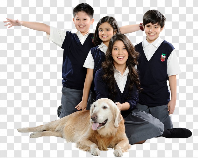 Reedley International School Education Dog Breed - Mixedsex Transparent PNG