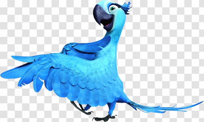 Jewel Nigel Blu Character Rio - Macaw Transparent PNG