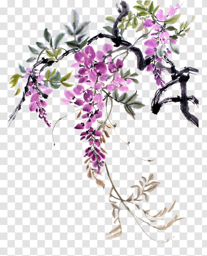 Watercolor Painting Drawing Chinese Wisteria - Lilac - Floral Design Transparent PNG