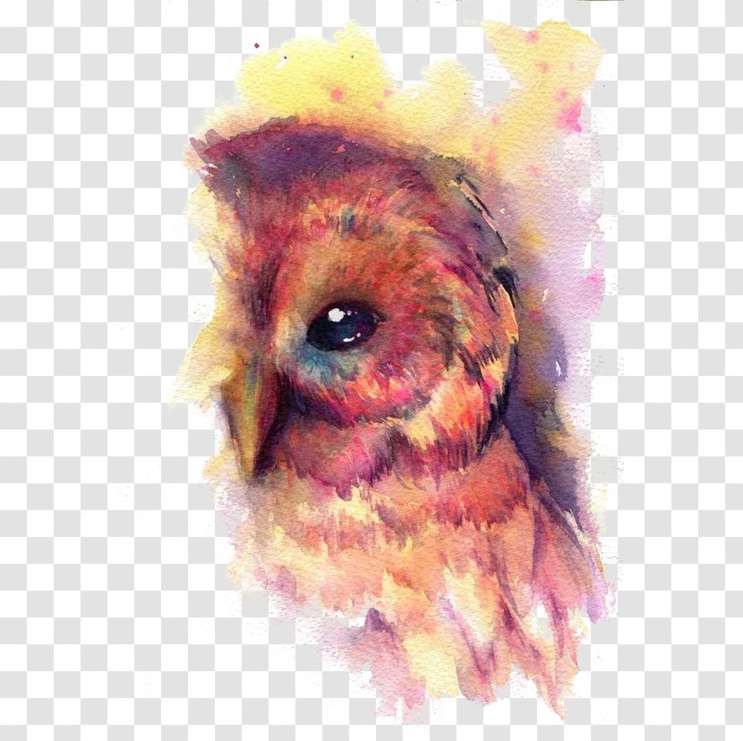 Owl Bird Watercolor Painting Art - Work Of - Birds Transparent PNG