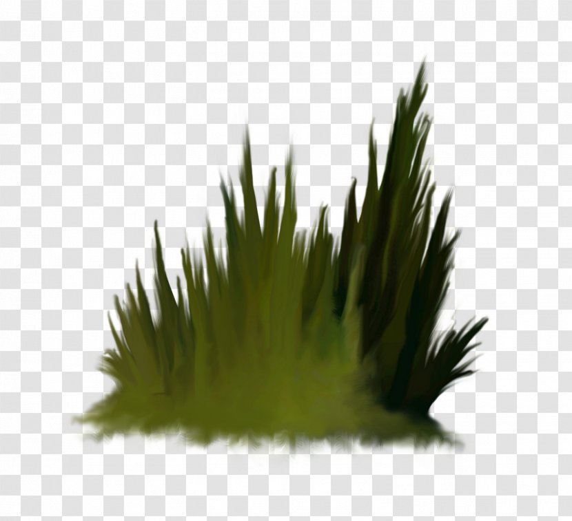 Download - Grass - Mis Favoritas 3 Transparent PNG