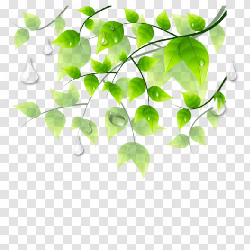 Vector Graphics Clip Art Flower Floral Design - Green Transparent PNG