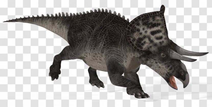 Zuniceratops Triceratops Late Cretaceous Horned Dinosaurs - Herbivore - Dinosaur Transparent PNG