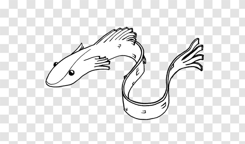 Book Drawing - White - Tail Blackandwhite Transparent PNG