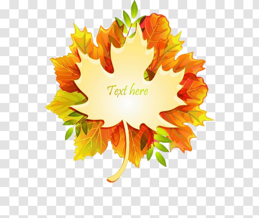 Maple Leaf Autumn Color - Leaves Transparent PNG