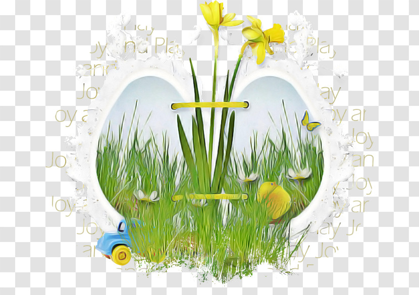Grass Yellow Flower Plant Spring Transparent PNG