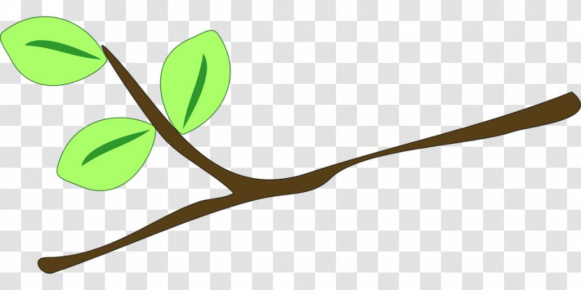 Twig Branch Drawing Clip Art - Tree Transparent PNG