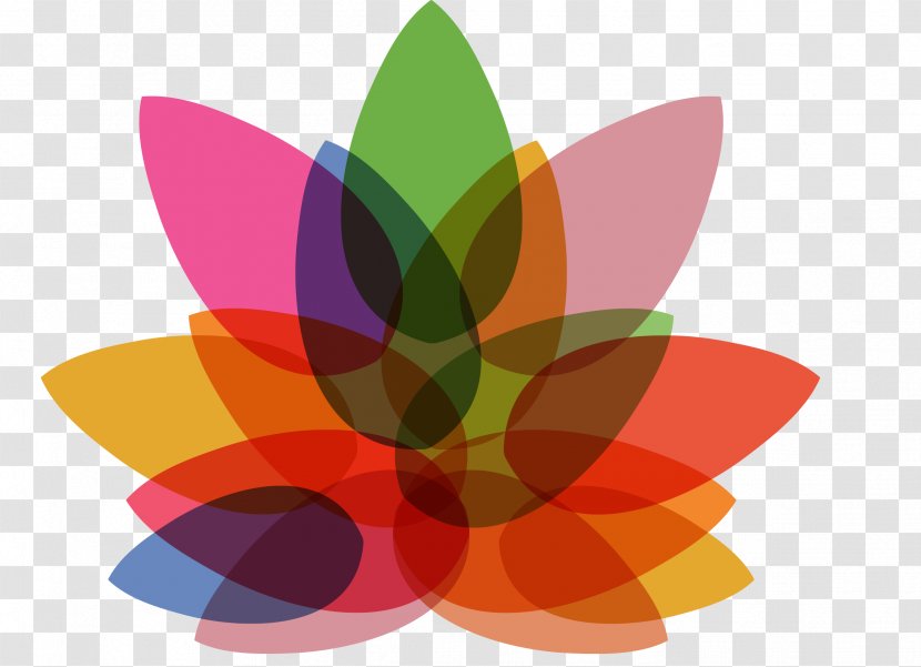 Life Colonics Common Sunflower Logo Clip Art - Petal - Flower Transparent PNG