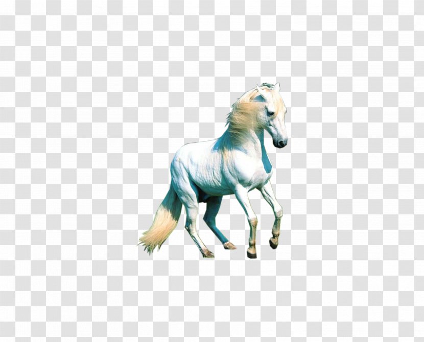 Mustang Animal Computer File - Horse,Steed Transparent PNG