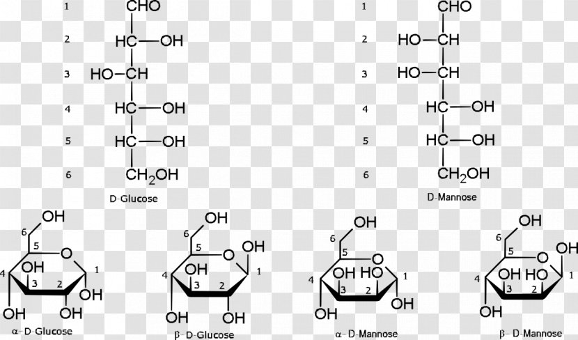 Open-chain Compound L-Glucose Galactose Mannose - Tree - Aldohexose Transparent PNG