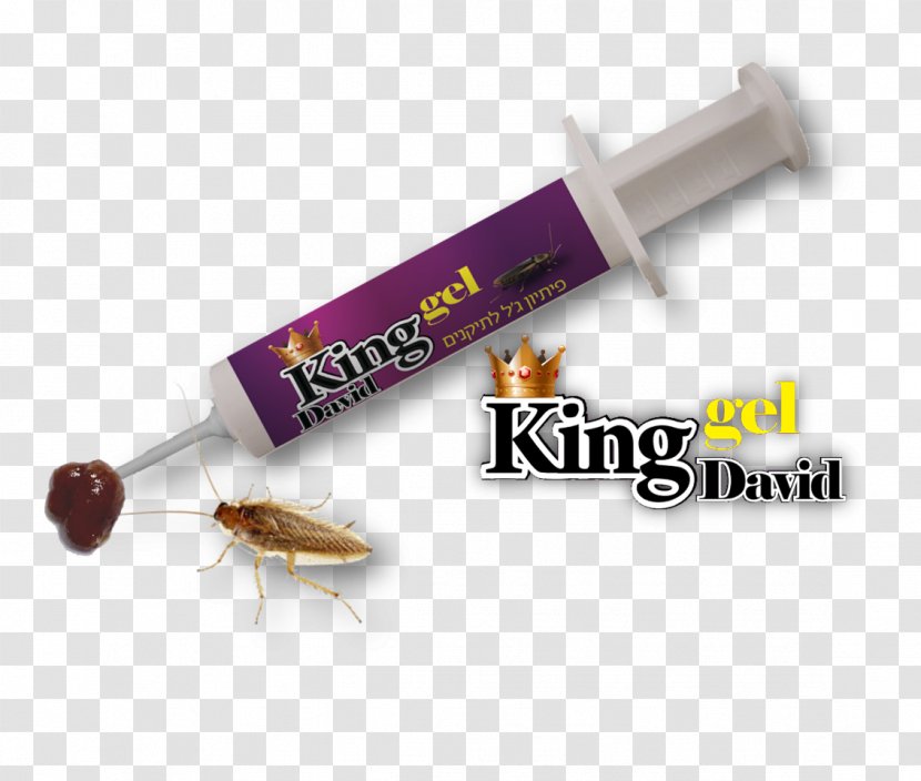 German Cockroach Insect Blattodea Roach Bait Transparent PNG