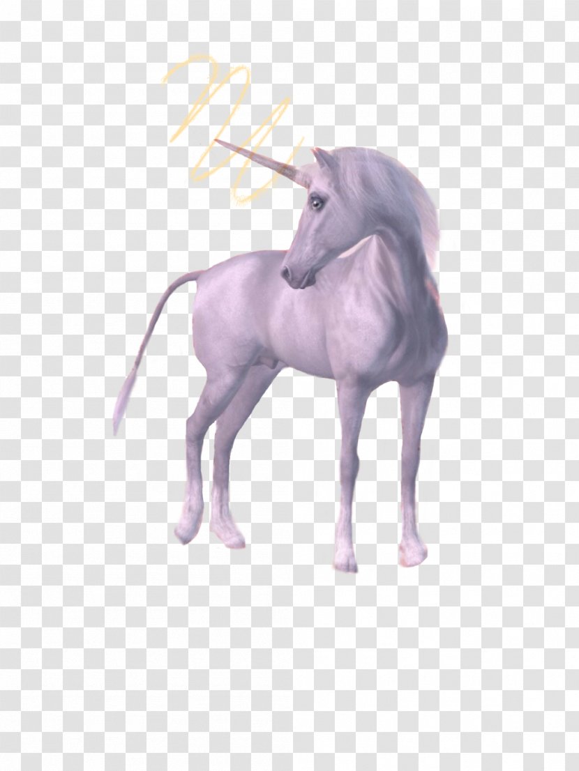 Unicorn Clip Art Drawing Image - Animal Figure Transparent PNG