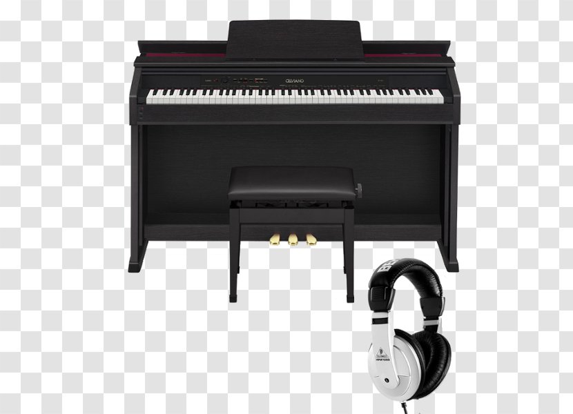 Digital Piano Casio Electronic Musical Instruments Privia - Cartoon - Keyboard Transparent PNG