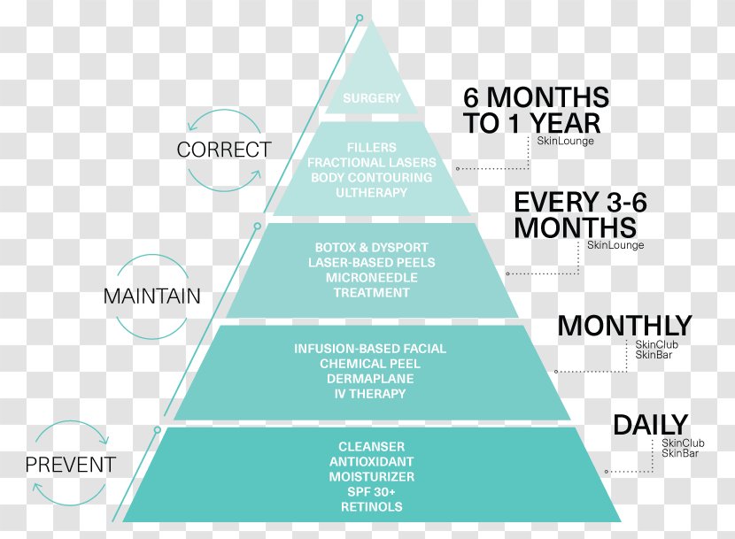 Motivation And Personality Maslow's Hierarchy Of Needs Humanistic Psychology Feminism - Alfred Adler - Arkells Transparent PNG