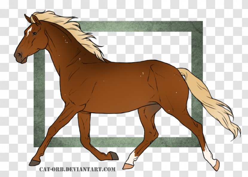 Foal Mane Rein Stallion Mare - Mustang Transparent PNG