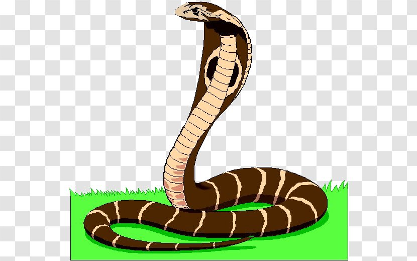 Snake Animated Film Clip Art - Indian Cobra Transparent PNG