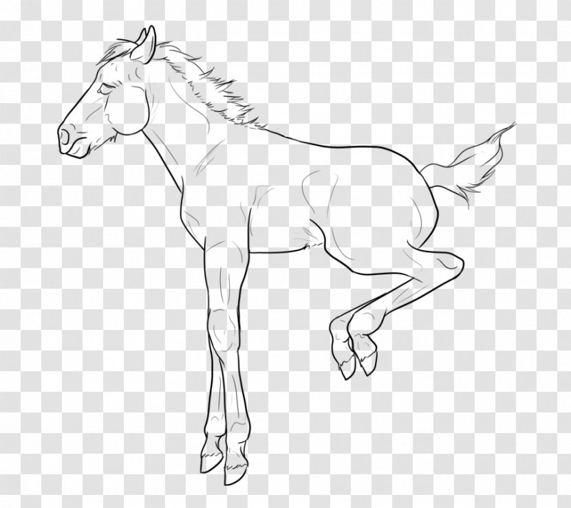 Foal Mule Thoroughbred Line Art Mustang - Arm Transparent PNG